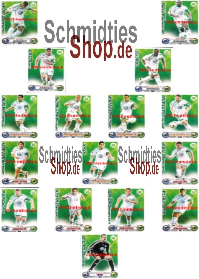 VfL Wolfsburg - 09/10 - Mannschaft mit 16 Basic Spieler