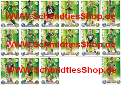 VfL Wolfsburg - 08/09 - Mannschaft mit 16 Basic Spieler