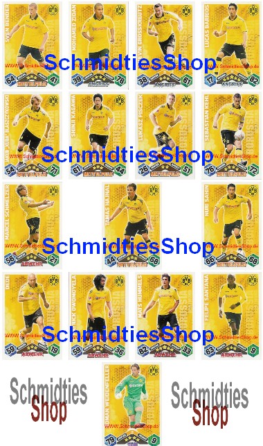 Borussia Dortmund 10/11 Mannschaft mit 16 Karten