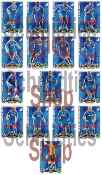 Hoffenheim 1899 10/11 Mannschaft mit 16 Karten