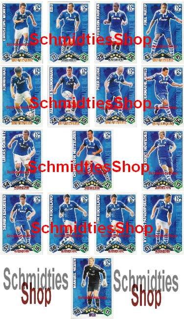 FC Schalke 04 10/11 Mannschaft mit 16 Karten